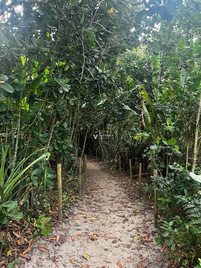 Terreno Rua 17 - lado mar - Praia de Itamambuca